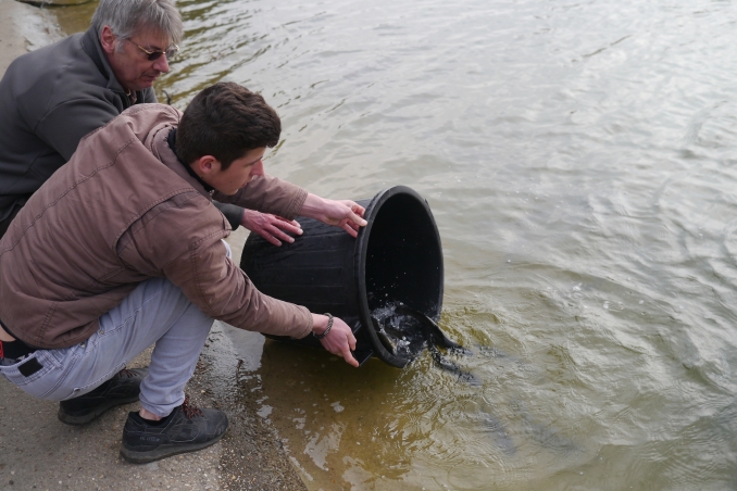 ALEVINAGES ET REMPOISSONNEMENTS ETANGS - PECHE 92/75