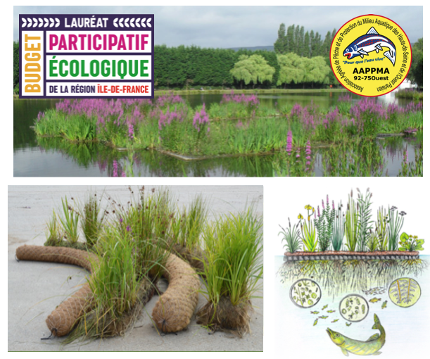 De nouveaux radeaux végétalisés sur l’étang des Hautes Bornes à Villeneuve-la-G - PECHE 92/75